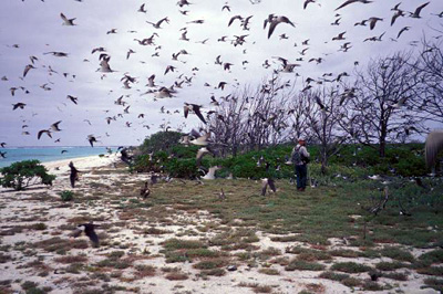 Midway Island K4M DX News Midway Island K4M DX News